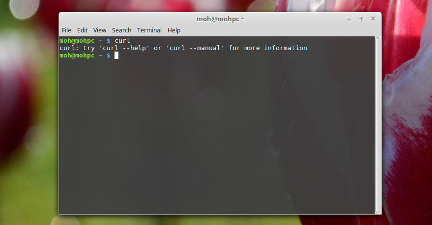 Curl check in command line